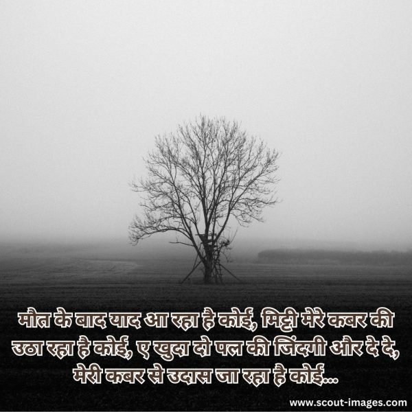 heart touching love shayari in hindi