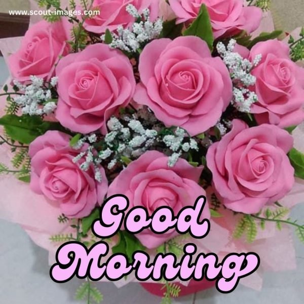 Good Morning Wishes