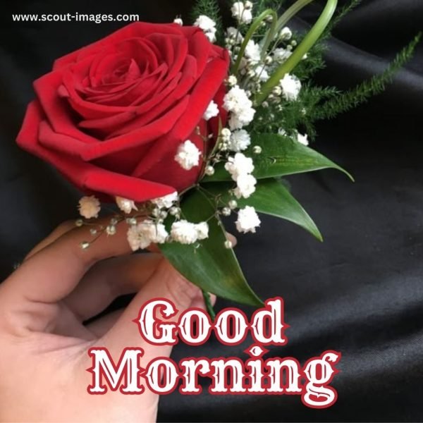 Good Morning Wishes